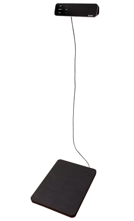 DS6200 Remote Indicator Scale